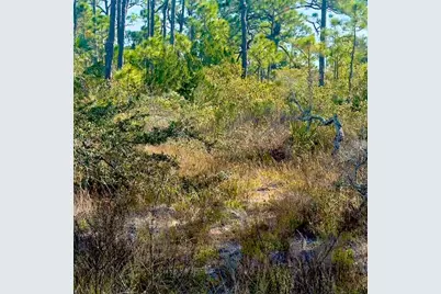 1405 Evodia Ct, Saint George Island, FL 32328 - Photo 1