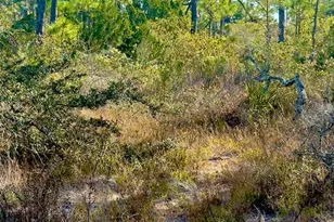 1405 Evodia Ct, Saint George Island, FL 32328 - Photo 1