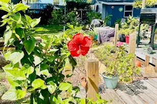 1212 Long Ave, Port Saint Joe, FL 32456 - Photo 22