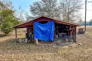 18799 NE Roy Golden Rd, Blountstown, FL 32424 - Photo 50