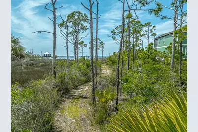 1831 Bayview Dr, Saint George Island, FL 32328 - Photo 8