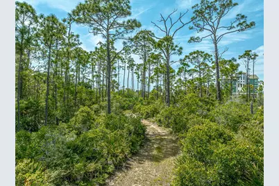 1831 Bayview Dr, Saint George Island, FL 32328 - Photo 2