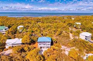 1848 Denise Ct W, Saint George Island, FL 32328 - Photo 64