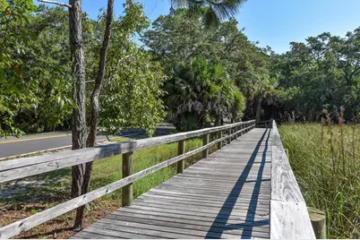 1327 Curlew Way, Saint George Island, FL 32328 - Photo 20