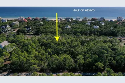 2005 Turpentine Trl, Saint George Island, FL 32328 - Photo 22