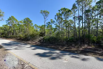 2005 Turpentine Trl, Saint George Island, FL 32328 - Photo 2