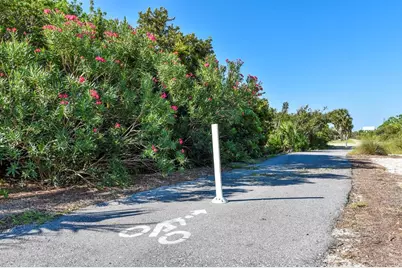 2005 Turpentine Trl, Saint George Island, FL 32328 - Photo 20