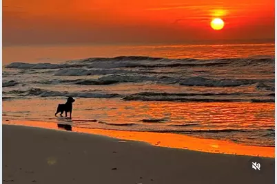 367 Gulf Shore Dr, Carrabelle, FL 32322 - Photo 54