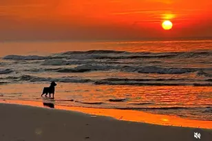 367 Gulf Shore Dr, Carrabelle, FL 32322 - Photo 54