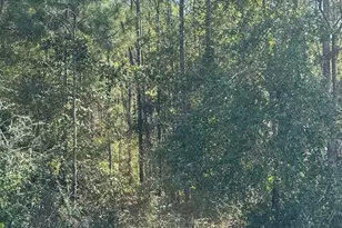 391 Jim Rish St, Wewahitchka, FL 32465 - Photo 1