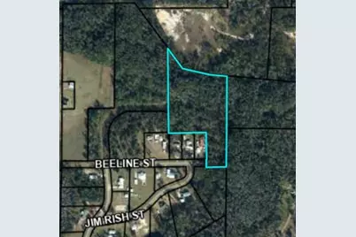 391 Jim Rish St, Wewahitchka, FL 32465 - Photo 2