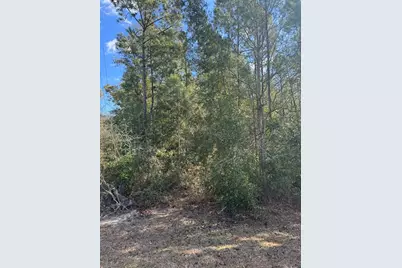 391 Jim Rish St, Wewahitchka, FL 32465 - Photo 4