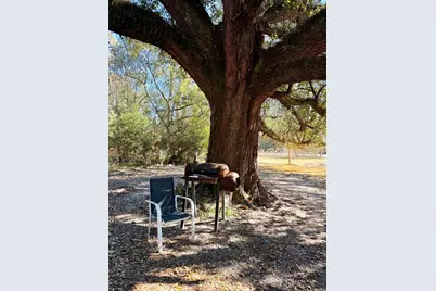 5473 Hwy 71 N, Wewahitchka, FL 32465 - Photo 8