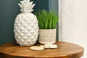 103 S Echo Ln, Cape San Blas, FL 32456 - Photo 8