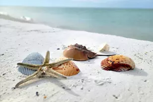 153 Broken Arrow Ln, Port Saint Joe, FL 32456 - Photo 68