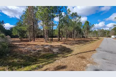 Tbd Luke Ford Rd, Wewahitchka, FL 32465 - Photo 16