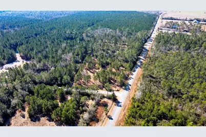 Tbd Luke Ford Rd, Wewahitchka, FL 32465 - Photo 6