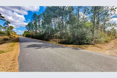 Tbd Luke Ford Rd, Wewahitchka, FL 32465 - Photo 20