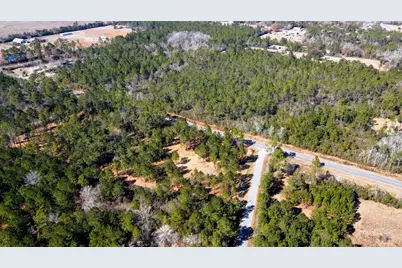 Tbd Luke Ford Rd, Wewahitchka, FL 32465 - Photo 8