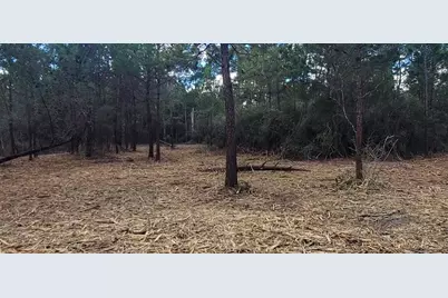 Tbd Luke Ford Rd, Wewahitchka, FL 32465 - Photo 24