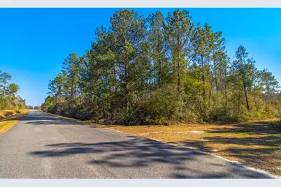 Tbd Luke Ford Rd, Wewahitchka, FL 32465 - Photo 12