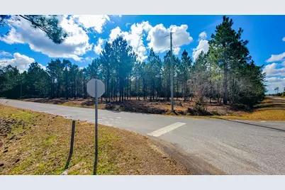 Tbd Luke Ford Rd, Wewahitchka, FL 32465 - Photo 14