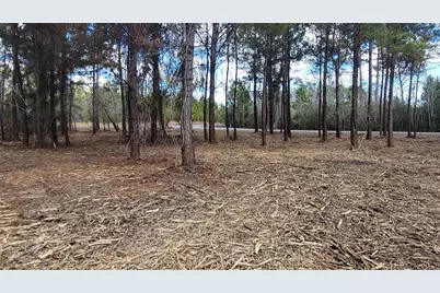 Tbd Luke Ford Rd, Wewahitchka, FL 32465 - Photo 22