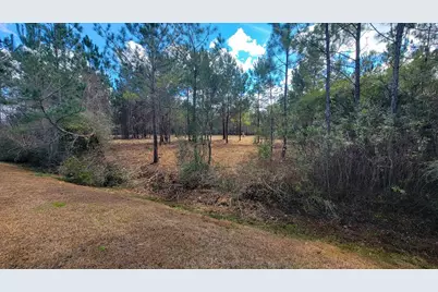 Tbd Luke Ford Rd, Wewahitchka, FL 32465 - Photo 18