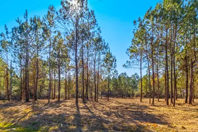 Tbd Luke Ford Rd, Wewahitchka, FL 32465 - Photo 10
