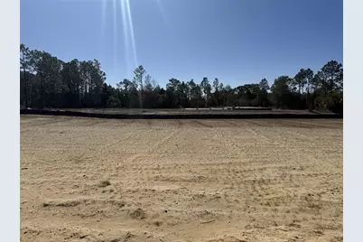 410 Coastal Canopy Ln, Port Saint Joe, FL 32456 - Photo 2