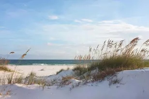 9428 Starfish Ave, Port Saint Joe, FL 32456 - Photo 34