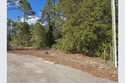 233 Apalachee St, Lanark Village, FL 32323 - Photo 4