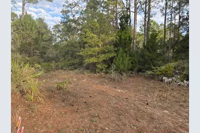 233 Apalachee St, Lanark Village, FL 32323 - Photo 2