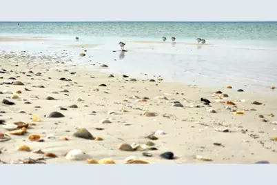 188 Avalon Dr, Cape San Blas, FL 32456 - Photo 80