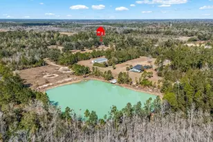 161 Grant Ln, Wewahitchka, FL 32465 - Photo 86