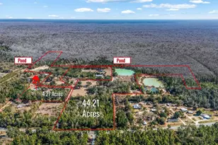 161 Grant Ln, Wewahitchka, FL 32465 - Photo 90