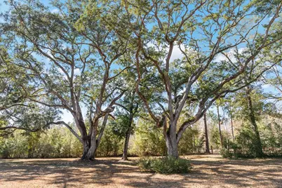 161 Grant Ln, Wewahitchka, FL 32465 - Photo 68