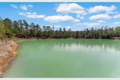 161 Grant Ln, Wewahitchka, FL 32465 - Photo 80