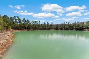 161 Grant Ln, Wewahitchka, FL 32465 - Photo 80