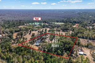 161 Grant Ln, Wewahitchka, FL 32465 - Photo 72