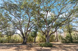 161 Grant Ln, Wewahitchka, FL 32465 - Photo 68