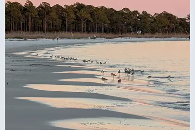 846-5B Hickory Hammock Rd, Carrabelle, FL 32322 - Photo 8