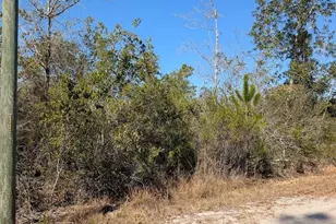 846-7B Hickory Hammock Rd, Carrabelle, FL 32322 - Photo 1