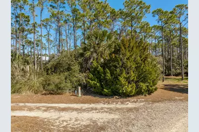 1207 E Gulf Beach Dr, Saint George Island, FL 32328 - Photo 2