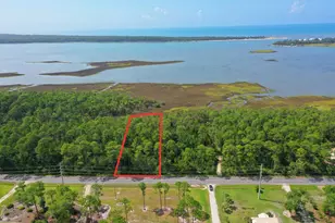 Lot 19 Cr 30-A, Port Saint Joe, FL 32456 - Photo 1