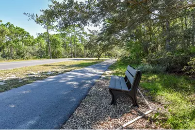 1935 Smugglers Cove Rd, Saint George Island, FL 32328 - Photo 16