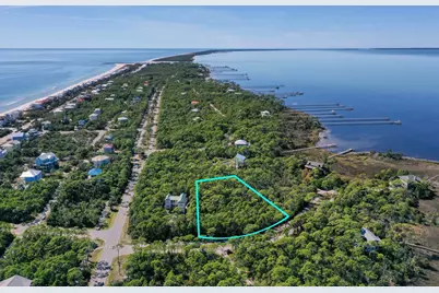 1935 Smugglers Cove Rd, Saint George Island, FL 32328 - Photo 4