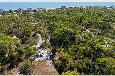 1605 E Gulf Beach Dr, Saint George Island, FL 32328 - Photo 6