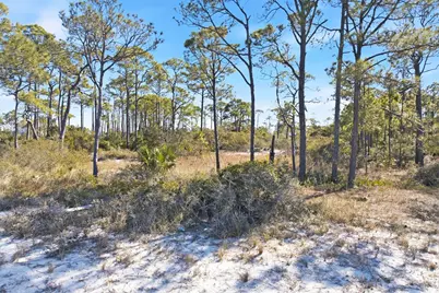 1605 E Gulf Beach Dr, Saint George Island, FL 32328 - Photo 8