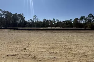 1861 Backwater Rd, Port Saint Joe, FL 32456 - Photo 2